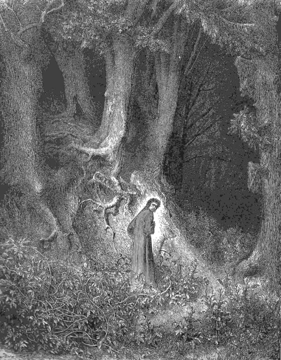Dante - In the dark forest